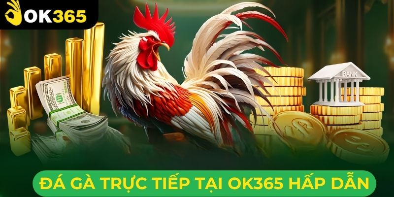 Đá gà ok365 hấp dẫn từ những đấu trường lớn 