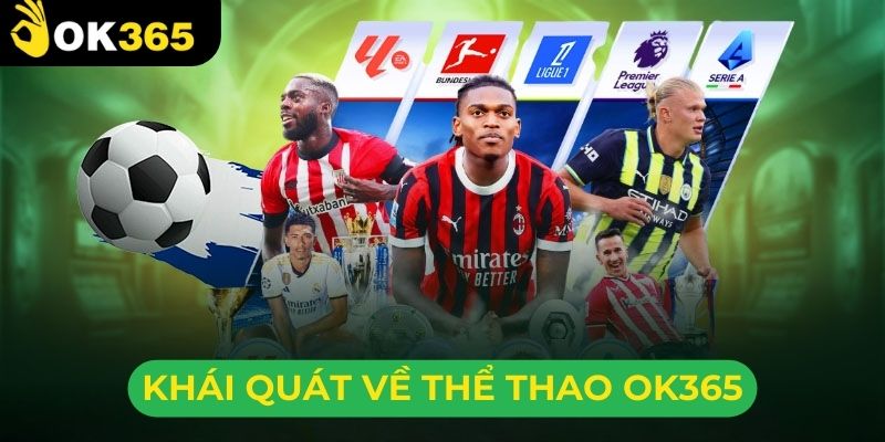 Những thông tin thú vị về sảnh thể thao trực tuyến ok365