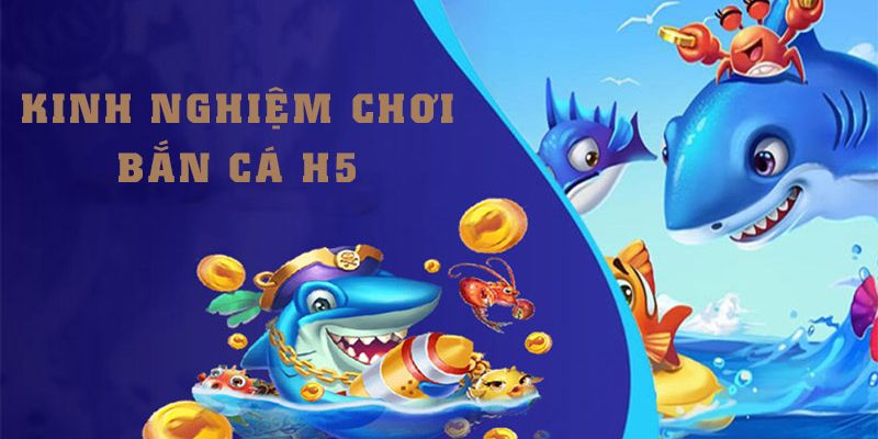 Mẹo chơi giúp newbie tối ưu tỷ lệ thắng tại OK365